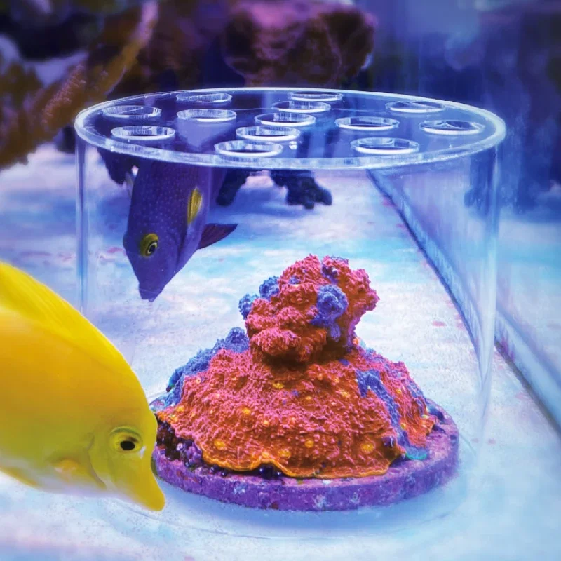 Reef Aquarium - Vastocean Aquarium Arcylic Coral Feeder Hood