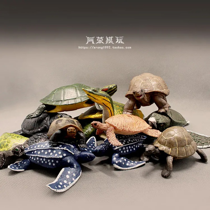 Leatherback Red-eared Turtle L - Ocean Aquarium 评论和价格