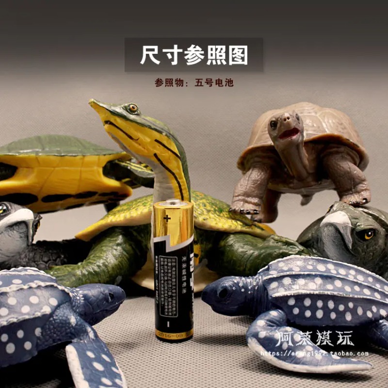 Leatherback Red-eared Turtle L - Ocean Aquarium 评论和价格