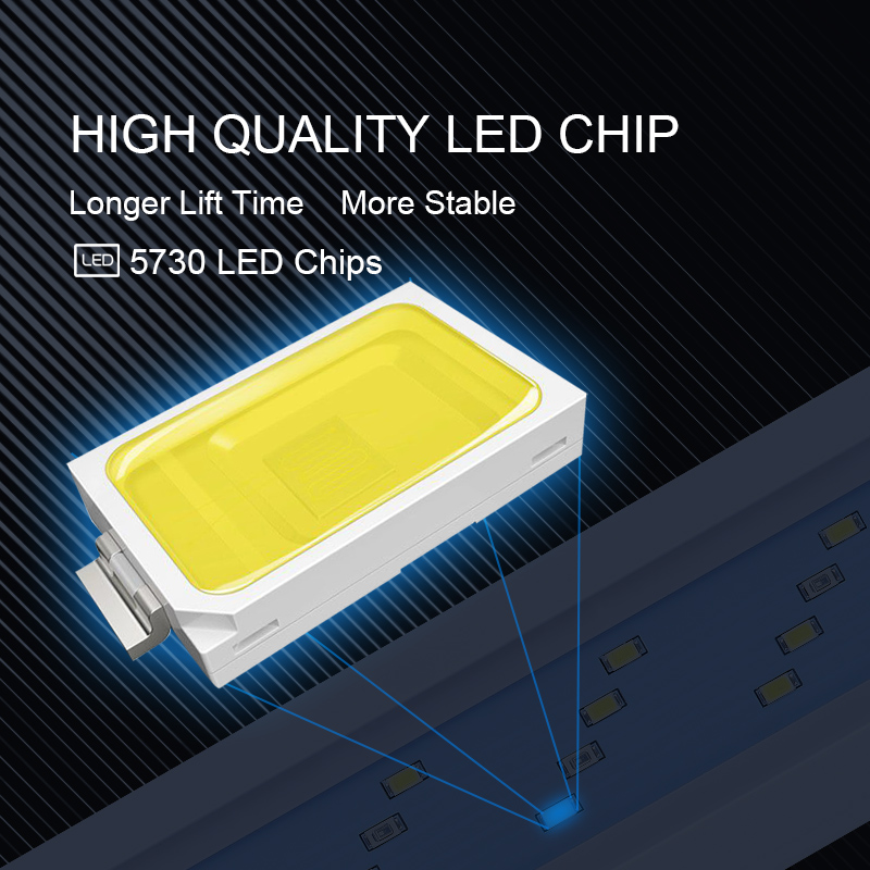 Extensible Waterproof Clip on  - Aquarium Marine Lights 评论和价格