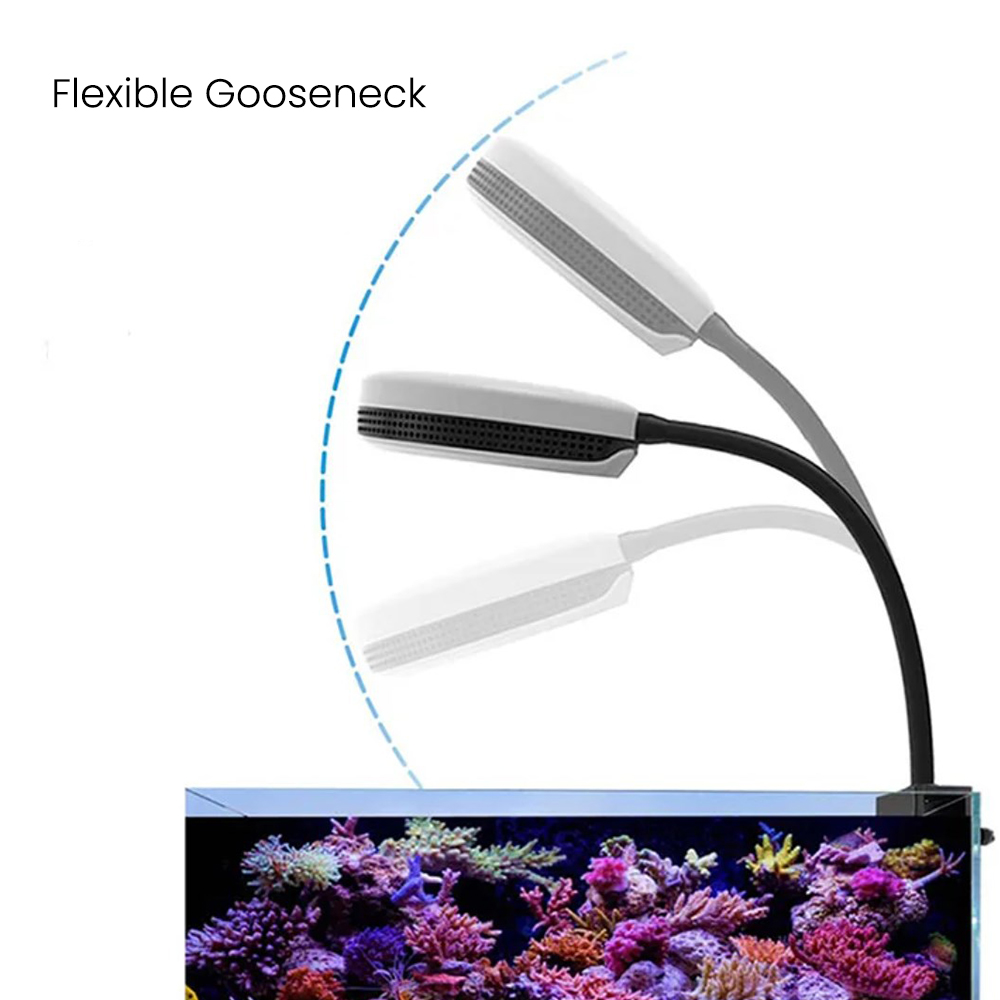 Spectra SP20 20W Aquarium LED  - Saltwater Tank 评论和价格