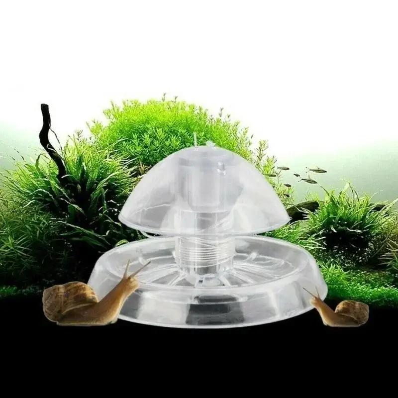2026 New 6/8CM Clear Plastic S - Marine Aquarium 评论和价格