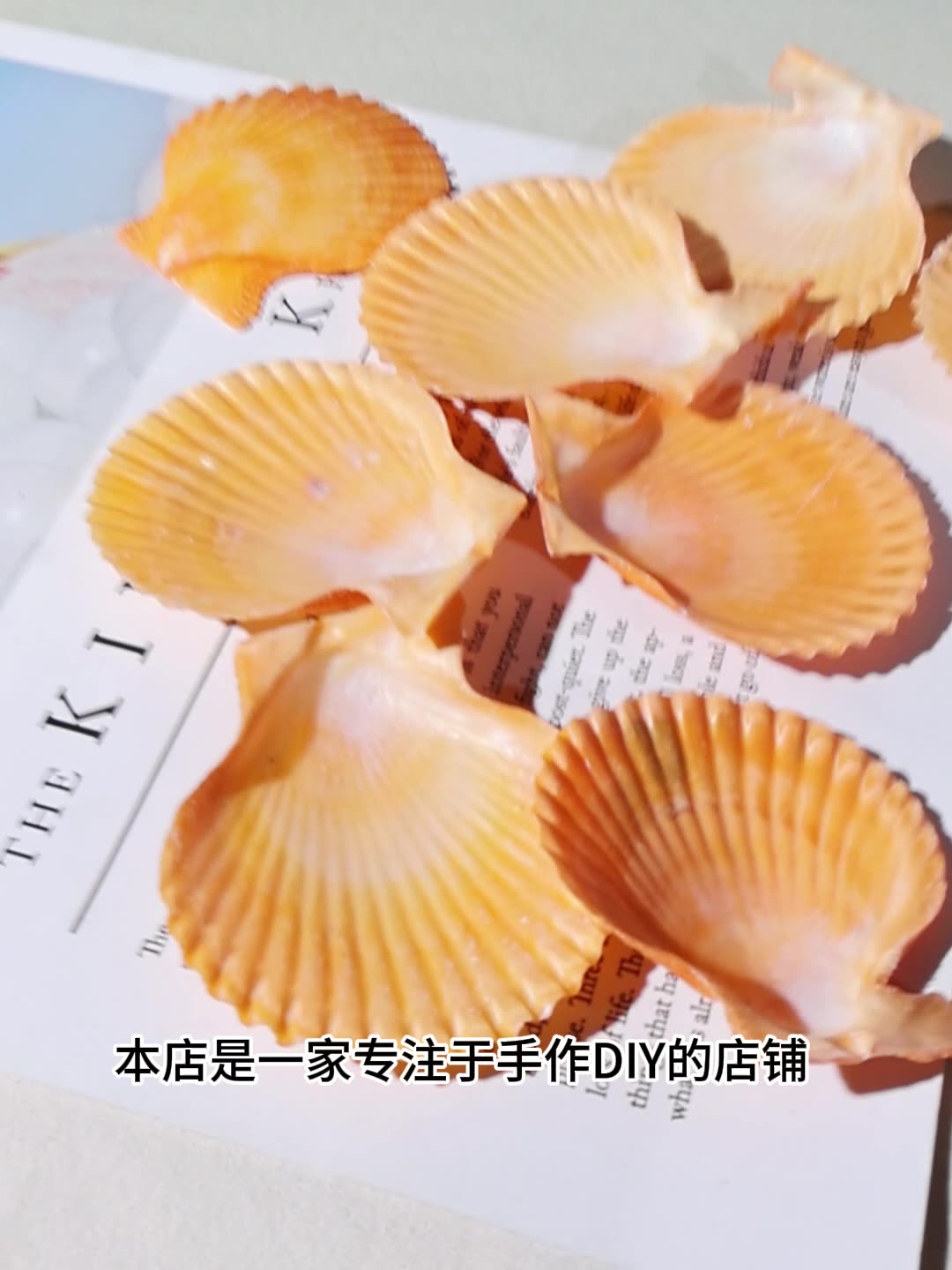 Best Yellow scallop shell fish - Marine Fish Tank 评论和价格