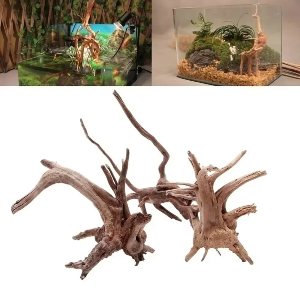 15-20CM Natural Driftwood Aqua - Marine Fish Tank 评论和价格