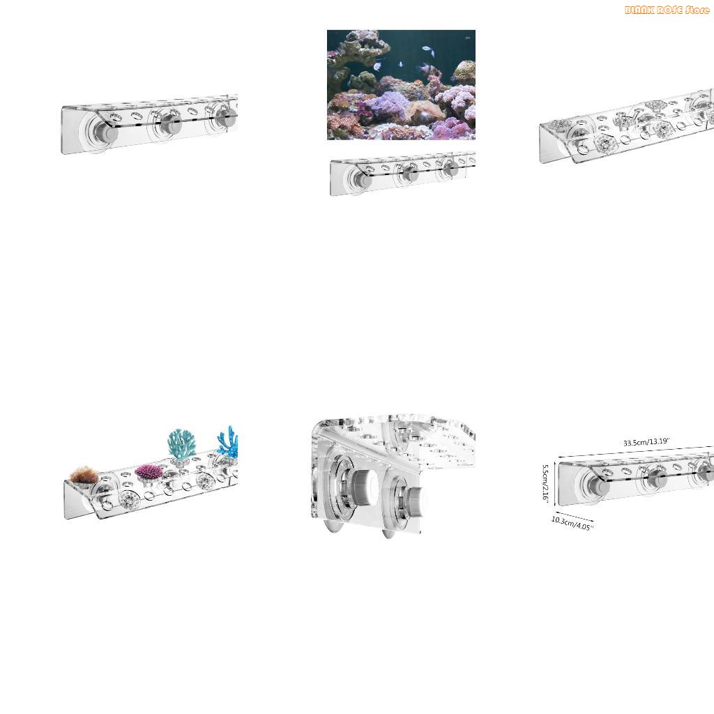 K1AE 32 Holes Coral Frag Rack  - Reef Aquarium 评论和价格