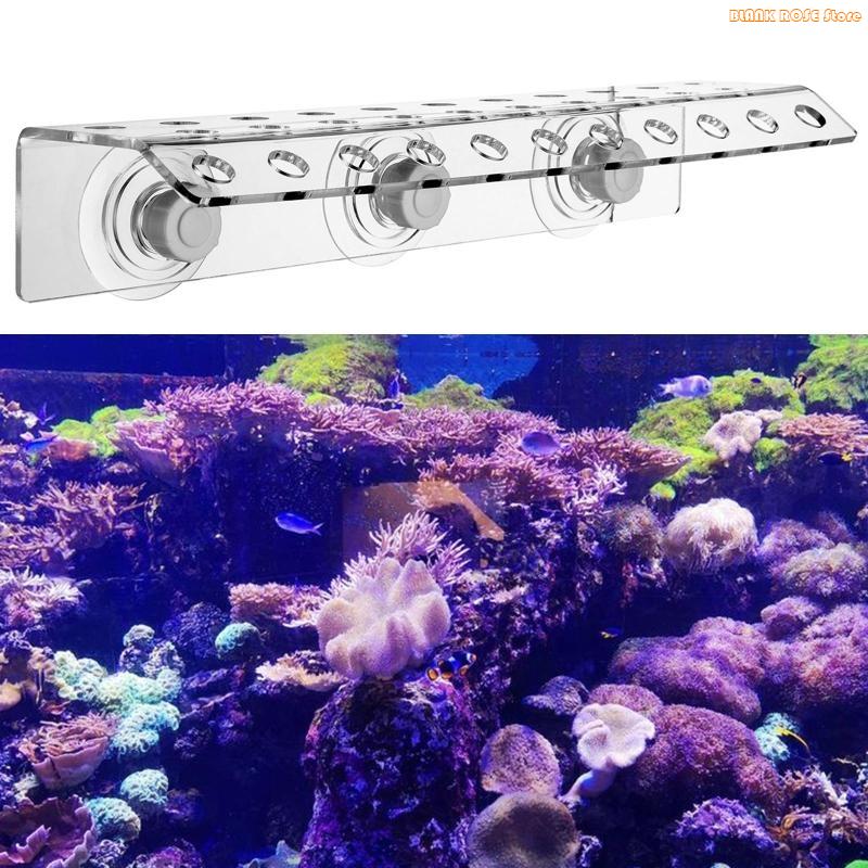 K1AE 32 Holes Coral Frag Rack  - Reef Aquarium 评论和价格