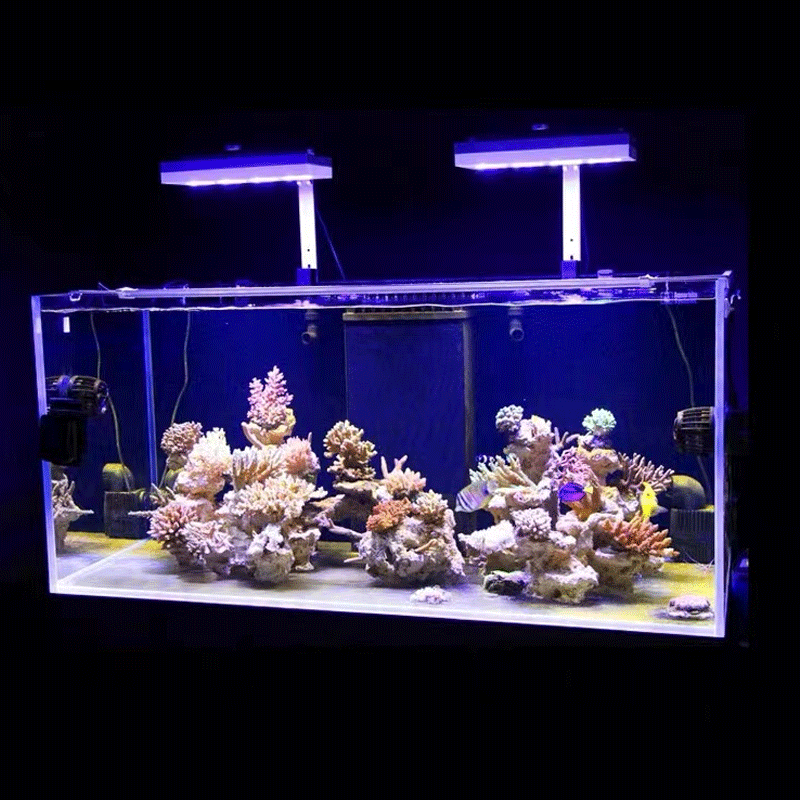 Aqua Illumination AI Hydra 32H - Reef Lighting 评论和价格