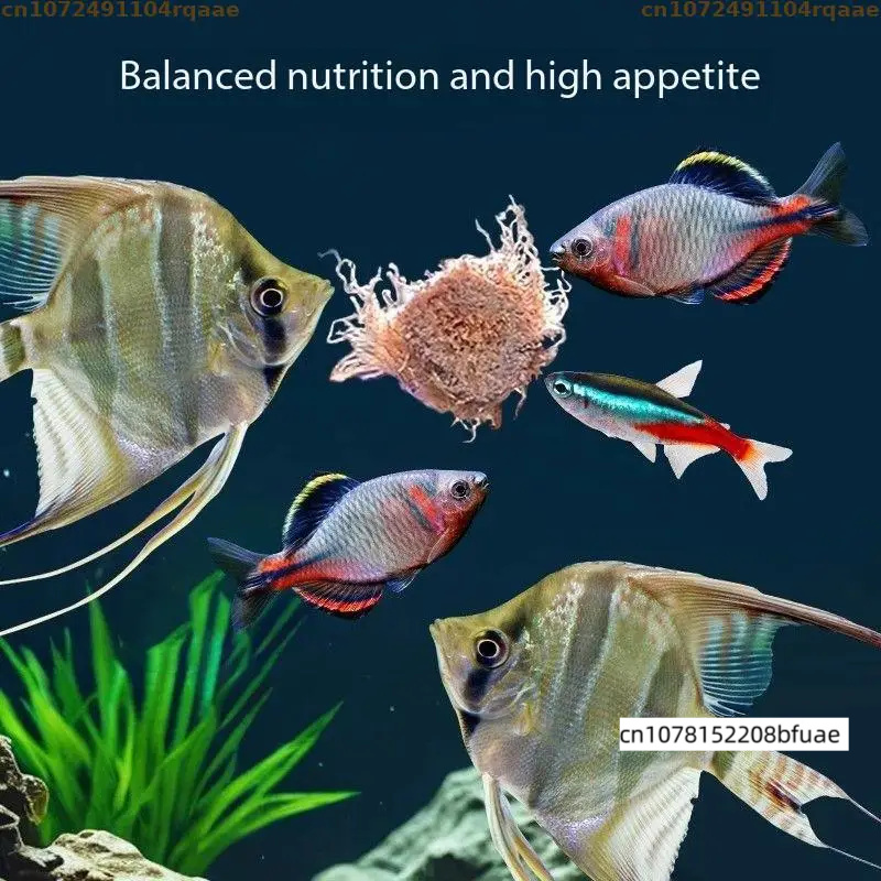 Aquarium Fish Feeder Matching  - Marine Aquarium Cube 评论和价格
