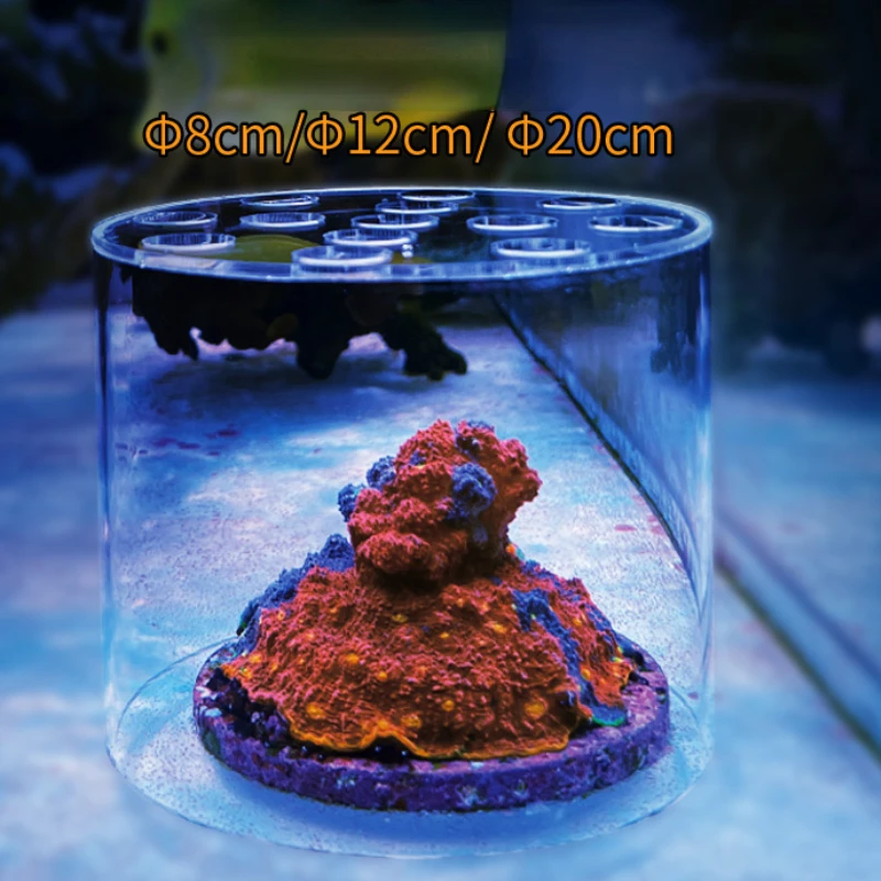 Vastocean Aquarium Arcylic Cor - Reef Aquarium 评论和价格