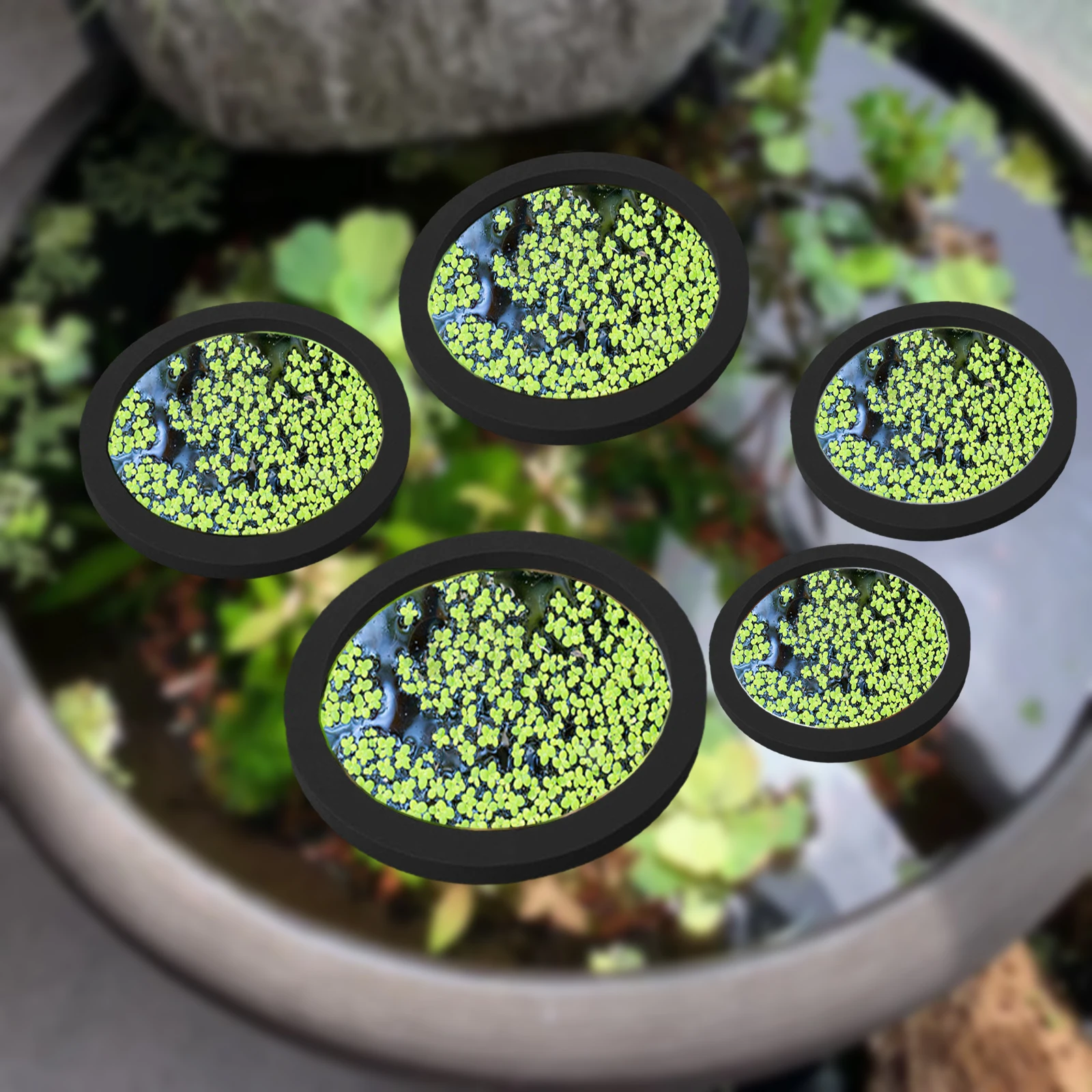 5Pcs EVA Fish Feeding Ring Aqu - Ocean Aquarium 评论和价格