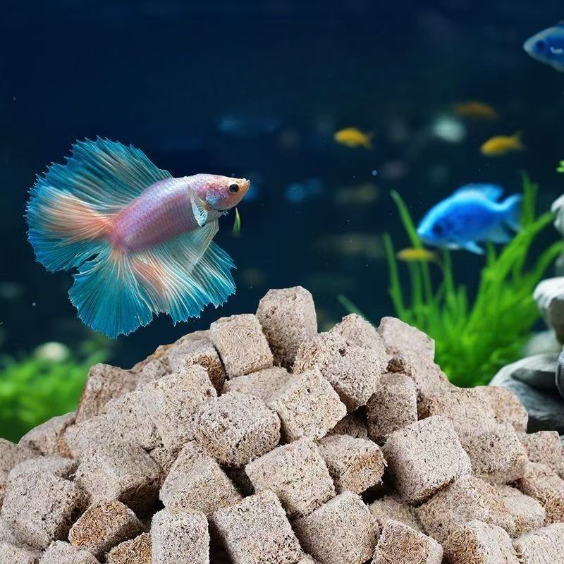 Natural Freeze Dried Bloodworm - Marine Aquarium Cube 评论和价格