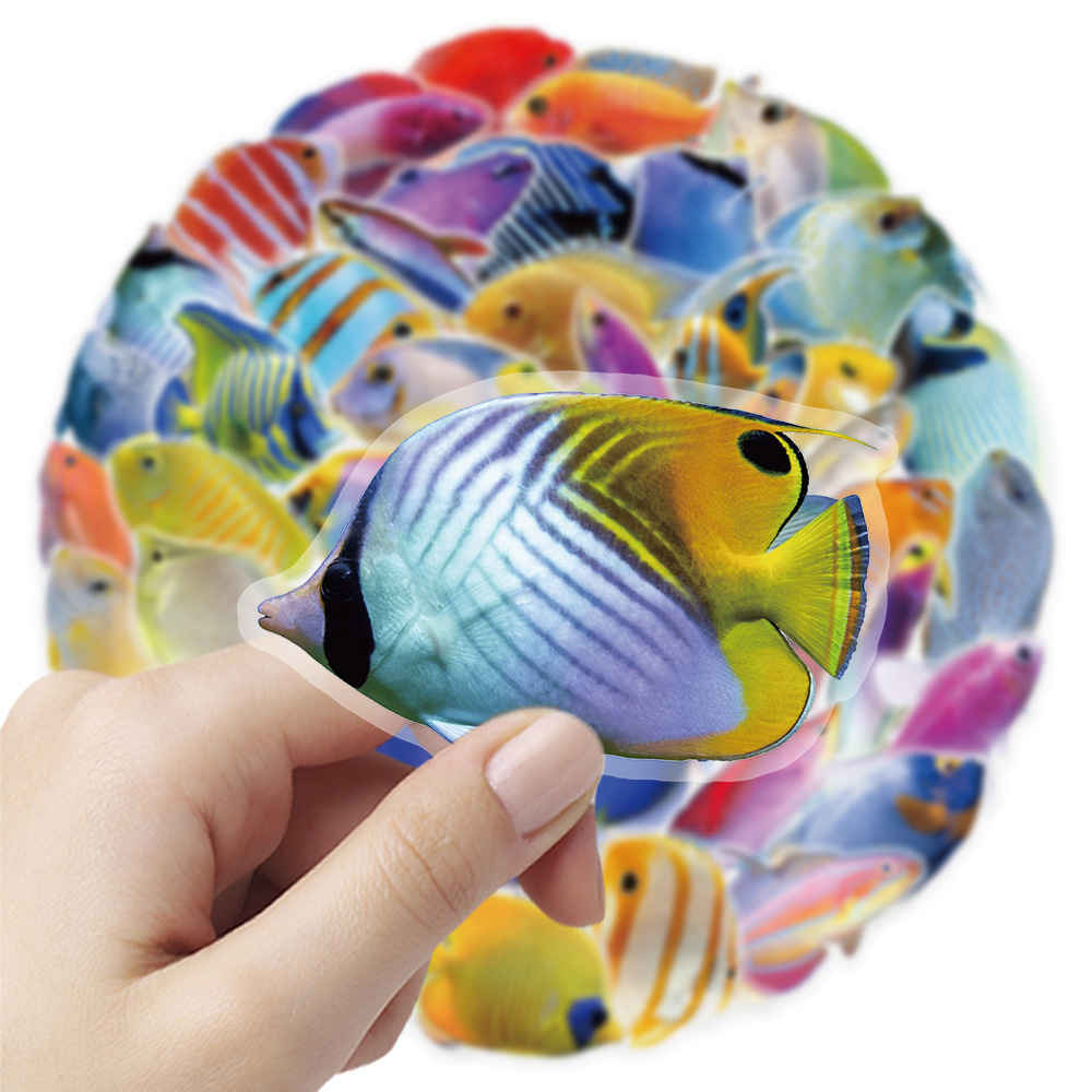 50-100PCS Transparent PET Cora - Marine Coral 评论和价格