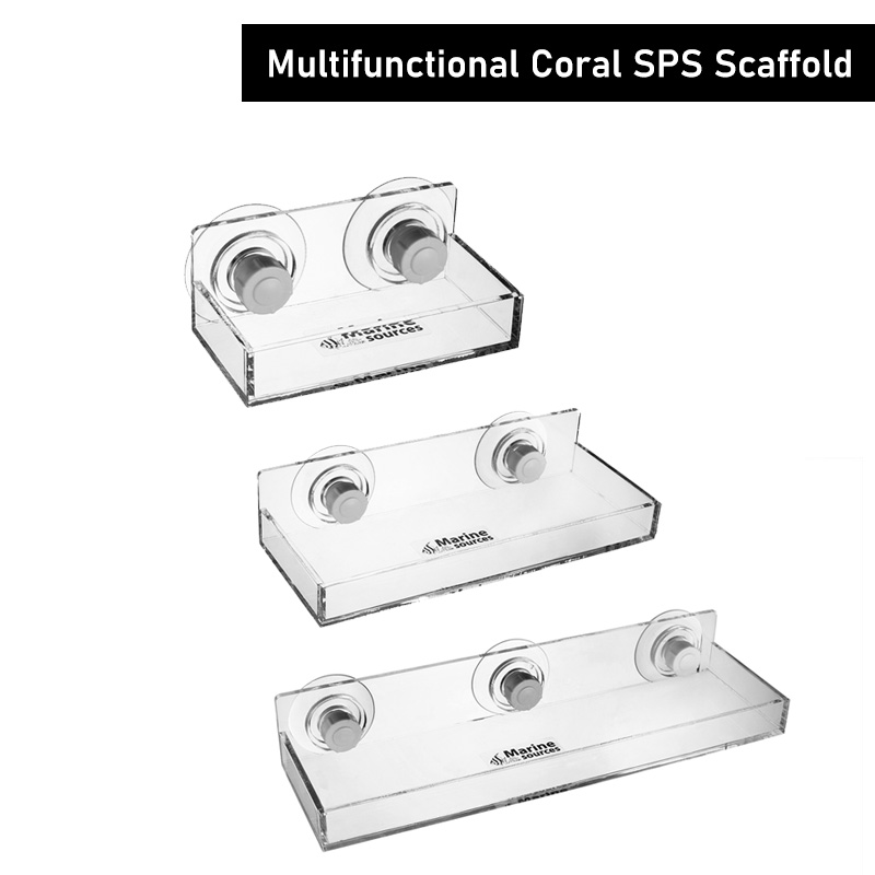 Marine Sources Multi-functiona - Marine Coral 评论和价格