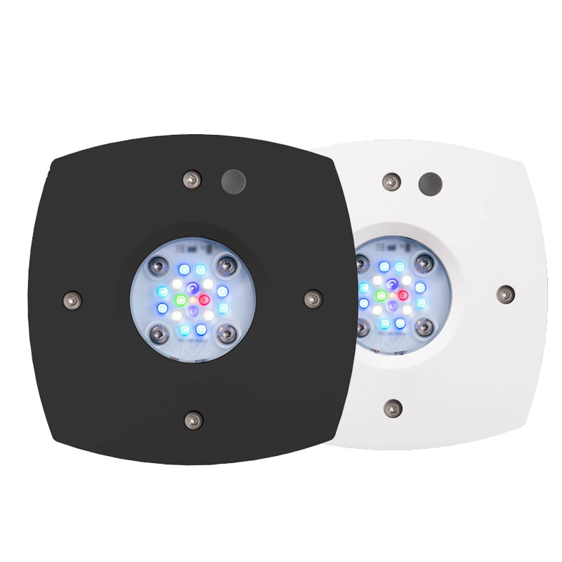 Prime 16 HD LED Reef Light, Or - Reef Lighting 评论和价格