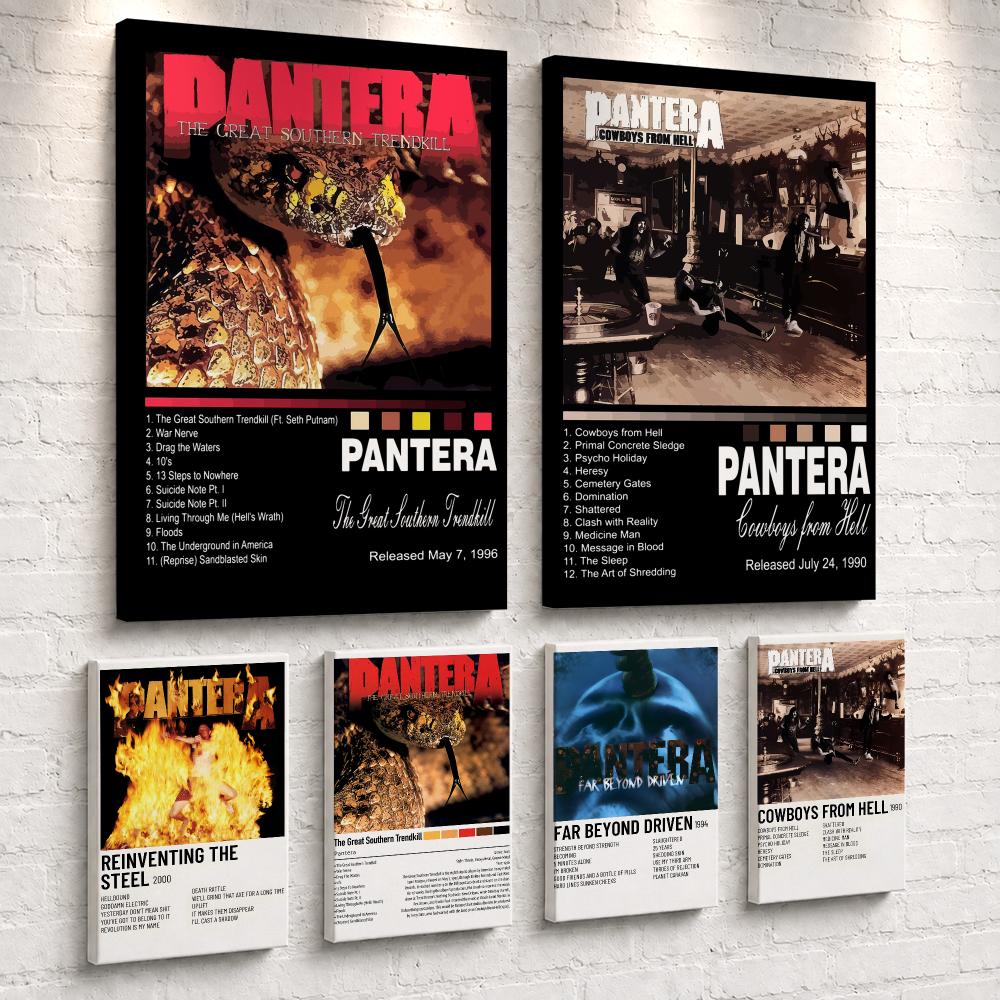 Rock Band Music Album P-Panter - Live Rock 评论和价格
