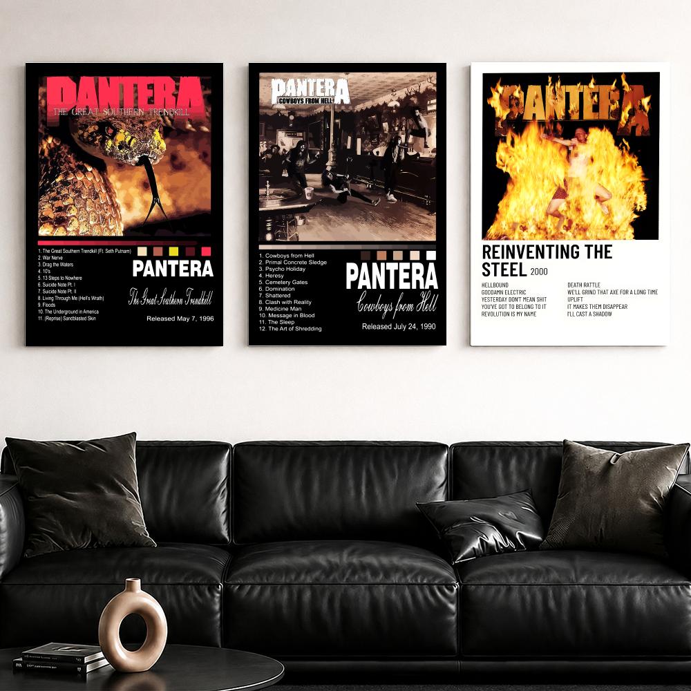 Rock Band Music Album P-Panter - Live Rock 评论和价格