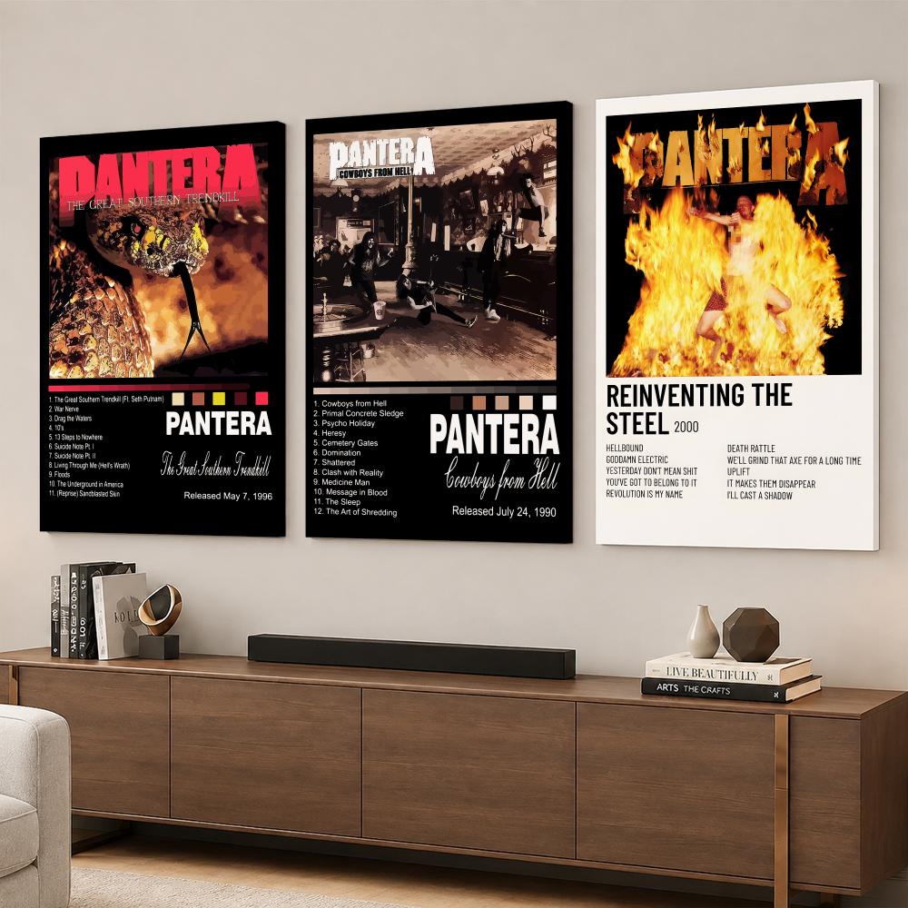 Rock Band Music Album P-Panter - Live Rock 评论和价格