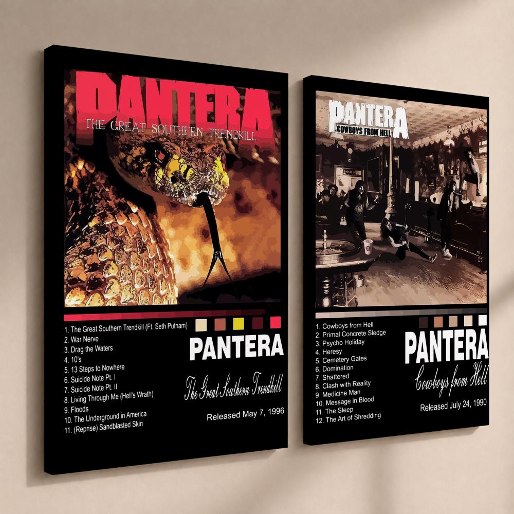 Rock Band Music Album P-Panter - Live Rock 评论和价格